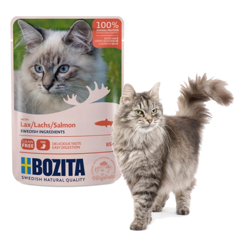 łosoś galaretka 85g kot .jpg
